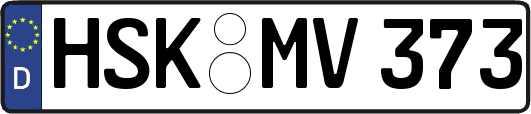 HSK-MV373