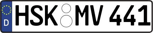 HSK-MV441