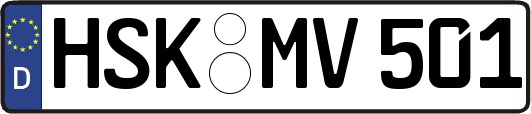 HSK-MV501