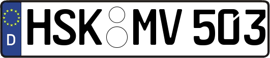 HSK-MV503