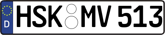 HSK-MV513