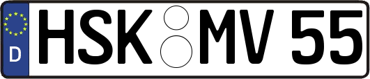 HSK-MV55
