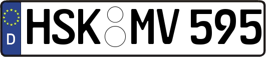 HSK-MV595