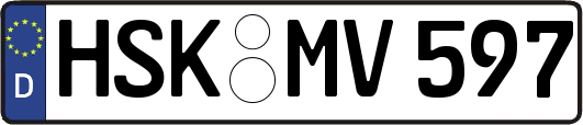 HSK-MV597