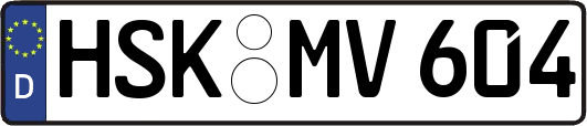HSK-MV604