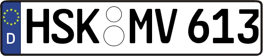 HSK-MV613
