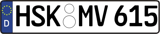 HSK-MV615