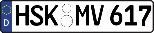 HSK-MV617