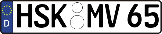 HSK-MV65
