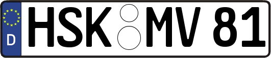 HSK-MV81