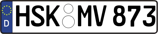 HSK-MV873
