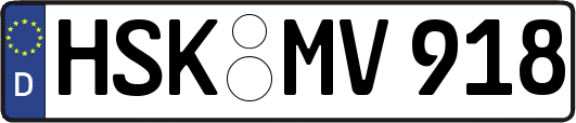 HSK-MV918
