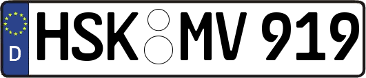 HSK-MV919