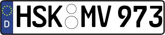 HSK-MV973