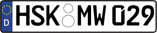 HSK-MW029