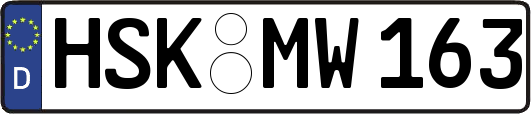 HSK-MW163