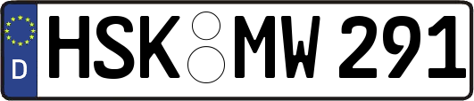 HSK-MW291