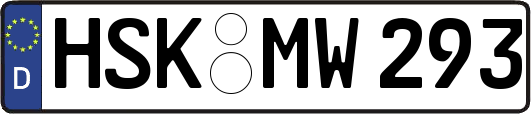 HSK-MW293