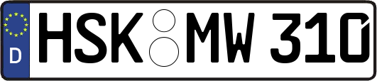 HSK-MW310