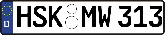 HSK-MW313