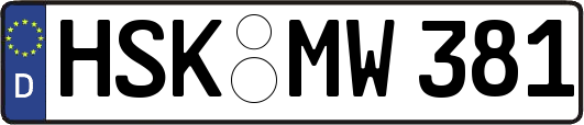 HSK-MW381