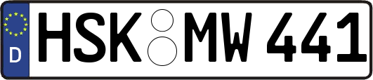 HSK-MW441