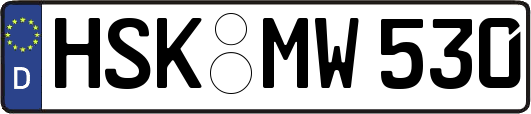 HSK-MW530