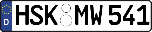 HSK-MW541