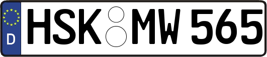 HSK-MW565