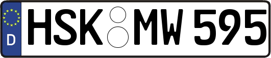 HSK-MW595