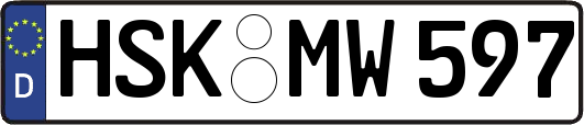 HSK-MW597