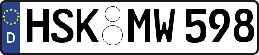HSK-MW598