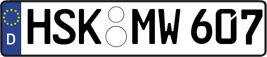 HSK-MW607