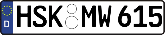 HSK-MW615