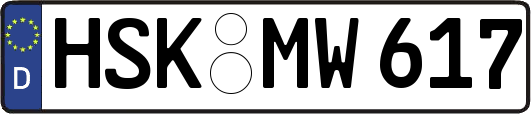 HSK-MW617