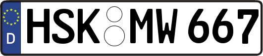 HSK-MW667