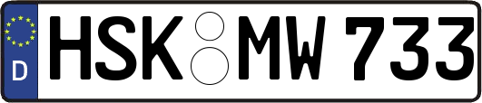 HSK-MW733