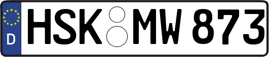 HSK-MW873