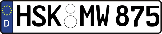 HSK-MW875