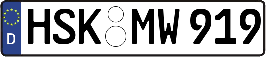 HSK-MW919