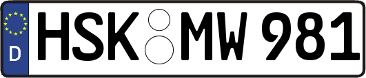 HSK-MW981
