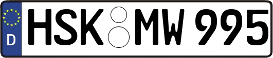 HSK-MW995