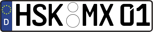 HSK-MX01