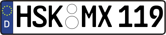 HSK-MX119