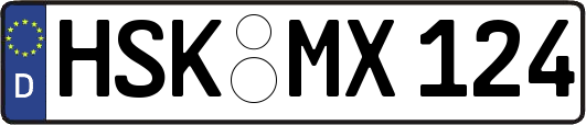 HSK-MX124
