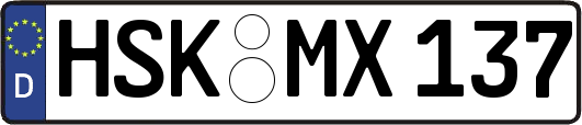HSK-MX137
