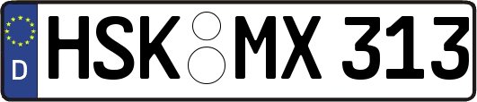 HSK-MX313