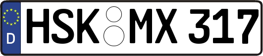 HSK-MX317