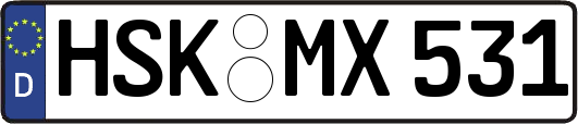 HSK-MX531
