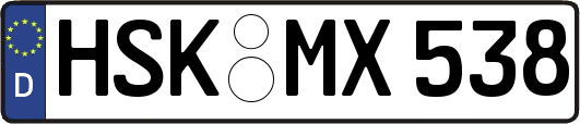 HSK-MX538